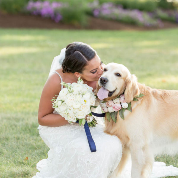 bride kisses dog