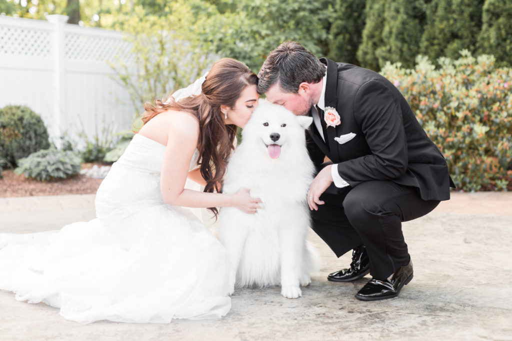 Bride and Groom including their Dog for a unforgettable wedding idea