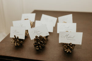 Winter Wedding Pinecone Place Cards
