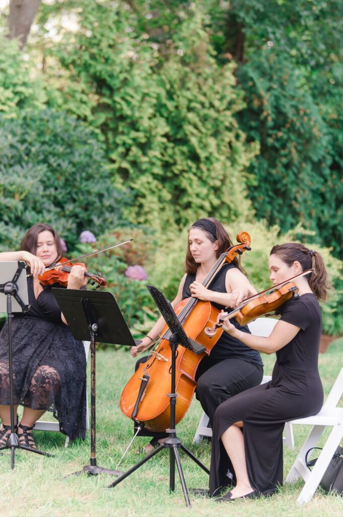 live wedding musicians outdoor ceremony