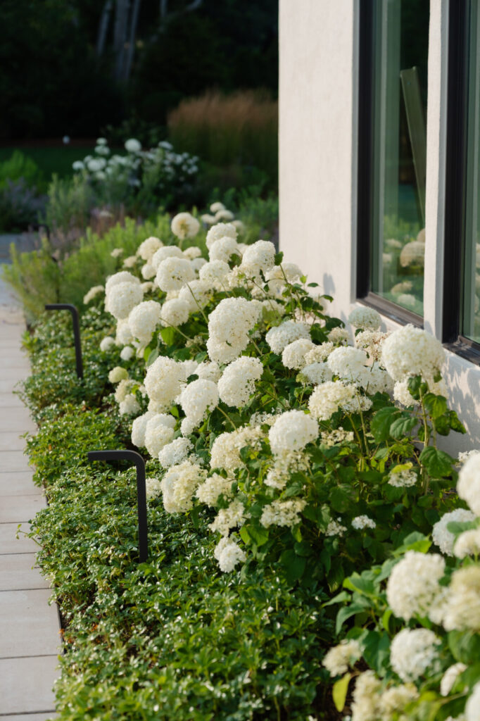 Exterior | Bella Gavini Photography